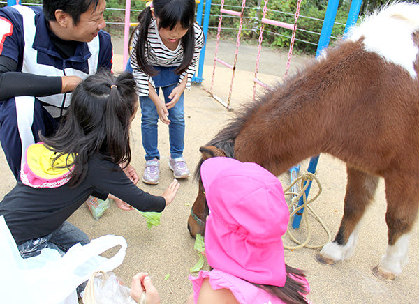 行事（ふれあい動物園